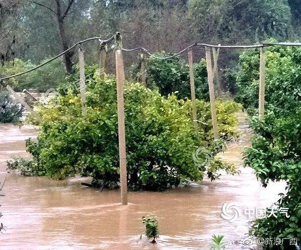 河池下冰雹如下雪,荔浦旱地变水塘!广西首个暴雨蓝色预警