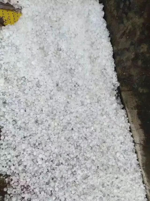 河池下冰雹如下雪，荔浦旱地变水塘！广西首个暴雨蓝色预警