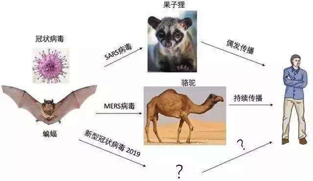 关于新型肺炎的34件事，你知道多少？