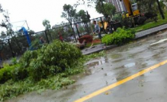 暴雨红色预警会停课吗