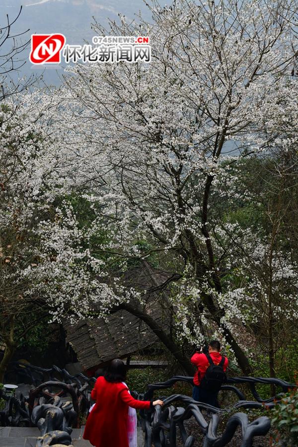 湖南雪峰山旅游景区开园迎客