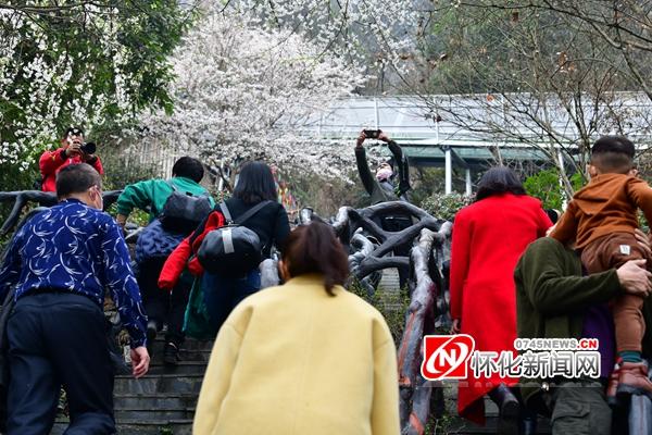 湖南雪峰山旅游景区开园迎客