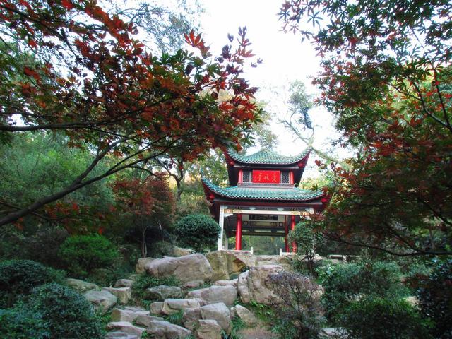 湖南有八个5A景区,您认为哪个更值得一去?