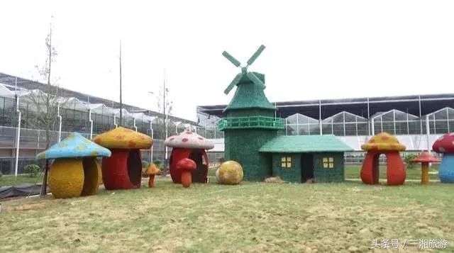 湖南这9家旅游景区不简单,或将升为国家4A级,都是秋游的好去处