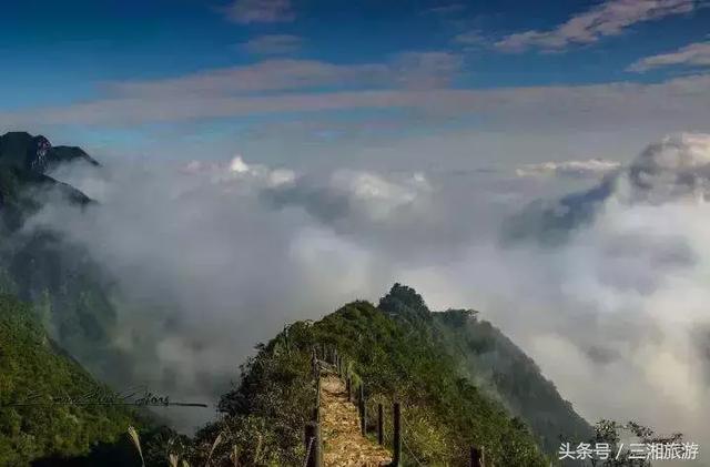 湖南这9家旅游景区不简单,或将升为国家4A级,都是秋游的好去处