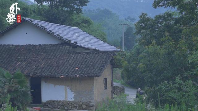 安徽宁国美食合集:第1道比臭豆腐还臭,第2道5种鱼往一锅塞