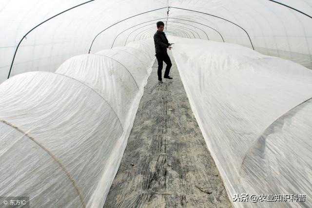 天气越来越冷,雨雪大风天气难测,温室大棚如何增温防灾