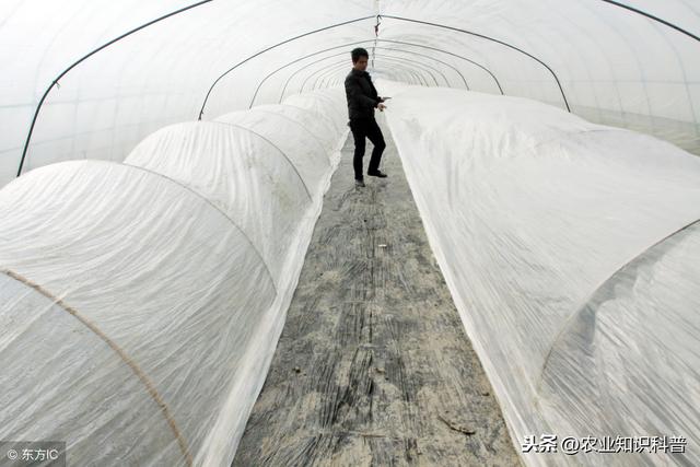 天气越来越冷，雨雪大风天气难测，温室大棚如何增温防灾