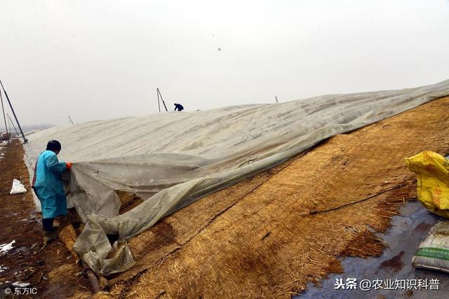 天气越来越冷，雨雪大风天气难测，温室大棚如何增温防灾