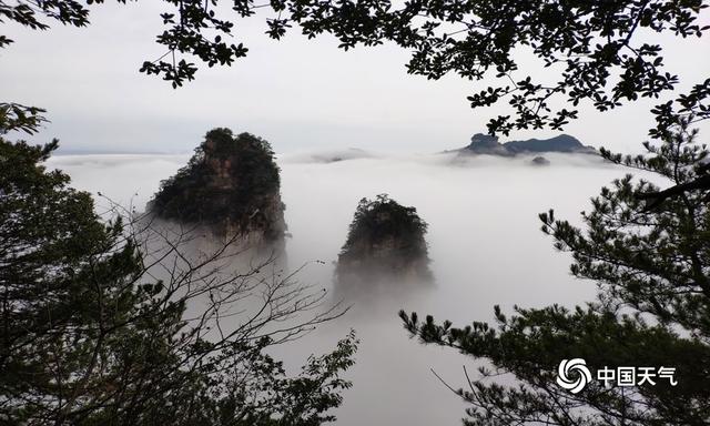 湖南张家界:武陵源风景区雨过天晴云海涌动
