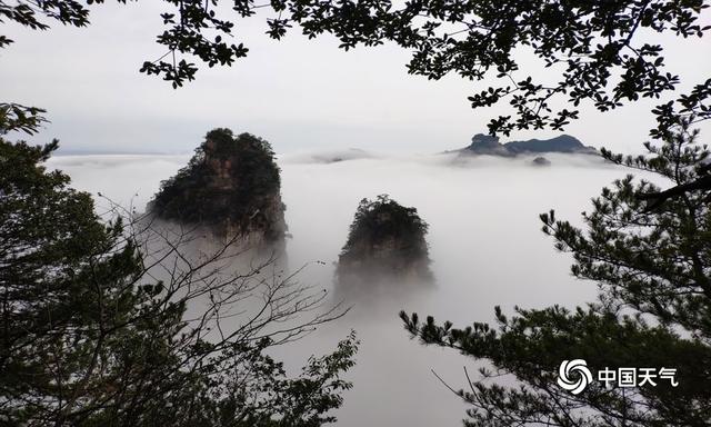 湖南张家界：武陵源风景区雨过天晴云海涌动