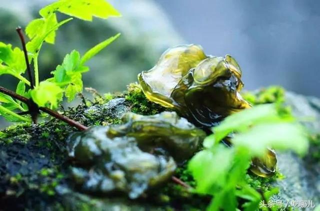 舌尖上的浙江！11种让人欲罢不能的美食