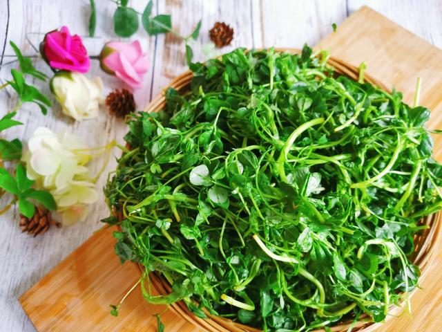 疫情过后春光大好，这6种春芽不要错过，功效不同，吃法也不同