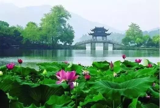 最值得收藏的旅行清单,顺着24节气,带娃游遍中国