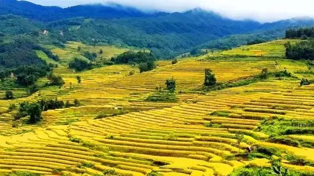 最值得收藏的旅行清单,顺着24节气,带娃游遍中国