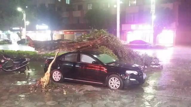 血的教训！雨天用车务必注意这几点