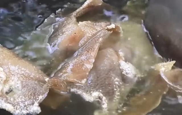 中国人眼中的“垃圾食品”火到美国,成了米其林餐厅招牌点心