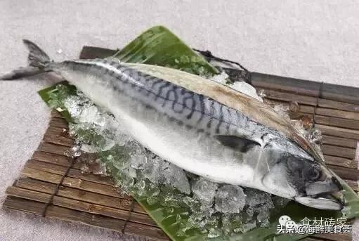 这鱼脾气很暴,在水箱里活不过一天,鱼中的土豪金版,一斤才8元