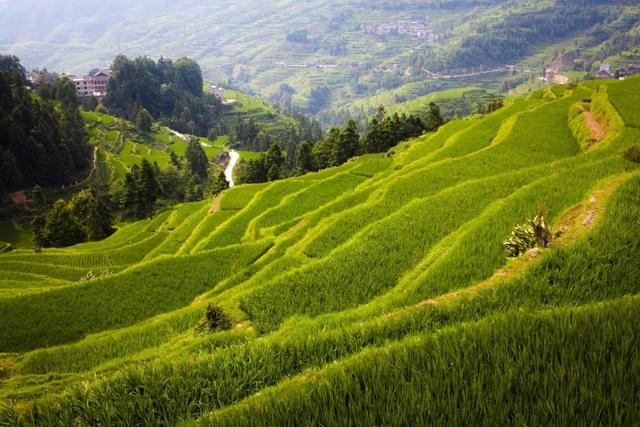 贵州旅游八大景点,此生必去!你来过几个?