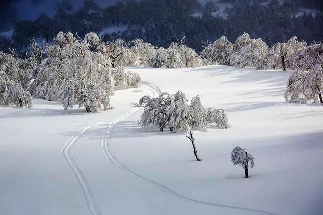 拍摄东北雪景，这条线路真的很美！