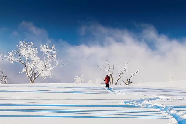 拍摄东北雪景，这条线路真的很美！