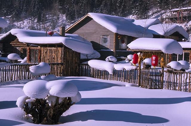 拍摄东北雪景，这条线路真的很美！