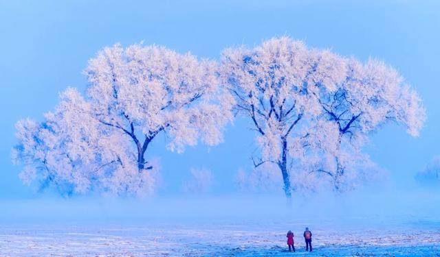 拍摄东北雪景，这条线路真的很美！