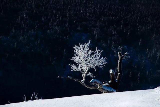 拍摄东北雪景，这条线路真的很美！