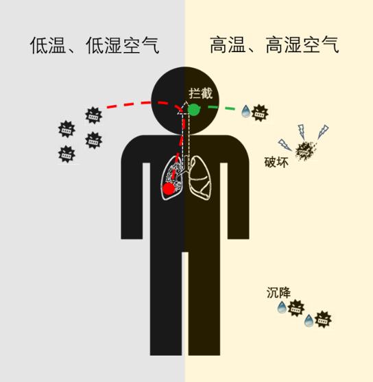 什么样的气温、湿度可以有利于新冠防疫？