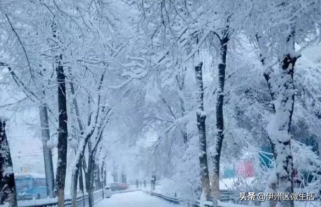 寒潮入侵!中到大雪+8级大风+大降温!未来7天新疆的天气是这样的