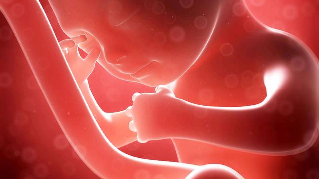 15个孕期冷知识:好多孕妈妈还不知道,多少了解一下