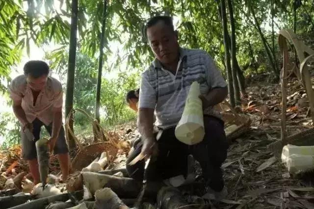 《舌尖上的中国》红起来的广西美食，没吃过都不敢说自己是广西人