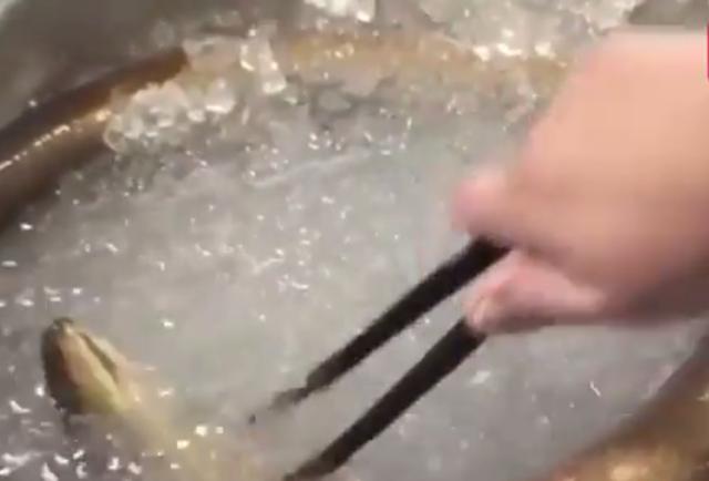 日本人太精致了,把鳗鱼处理成不一样料理,看到成品口水直流