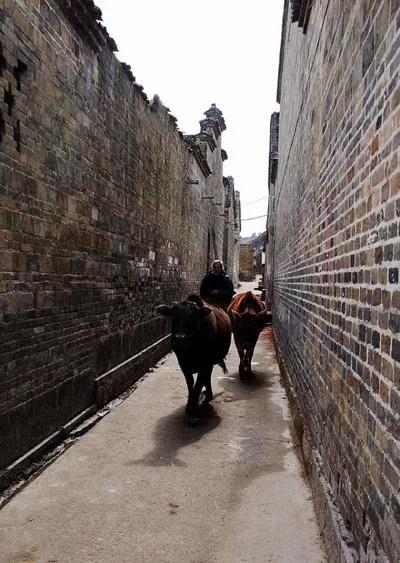 广西历史文化名村,每个村都是一段历史