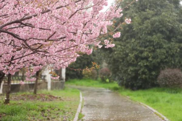 今日惊蛰