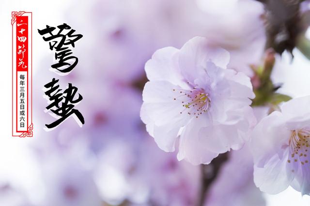 今日惊蛰5个习俗,老农说化解是非远离霉运,你做了吗?