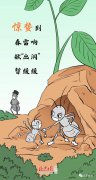 今日惊蛰，该吃啥？天气