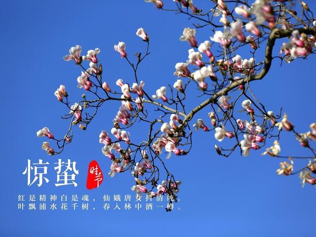 今日惊蛰:惊蛰,古称“启蛰”,是二十四节中的第3个节气