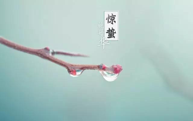 今日惊蛰,养生要点