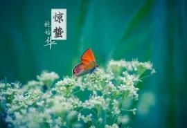 28首惊蛰诗词,惊醒最美春天