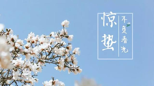 28首惊蛰诗词,惊醒最美春天
