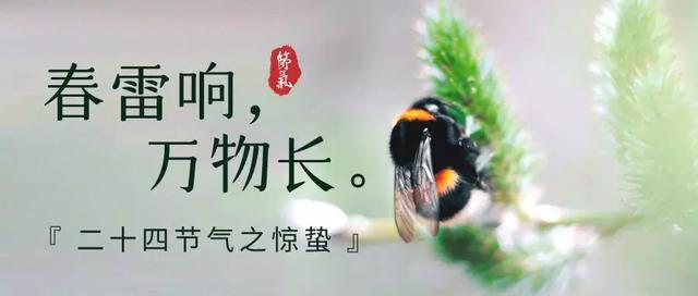 28首惊蛰诗词,惊醒最美春天