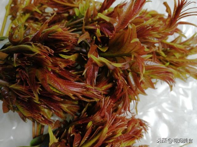惊蛰到,7道美食可别错过,简单易做,营养美味,家人多吃多受益