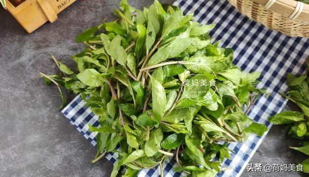 惊蛰到,7道美食可别错过,简单易做,营养美味,家人多吃多受益