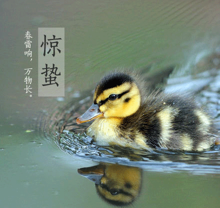 惊蛰吃什么?惊蛰如何养生?惊蛰气候特点是什么?