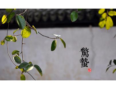 惊蛰吃什么?惊蛰如何养生?惊蛰气候特点是什么?