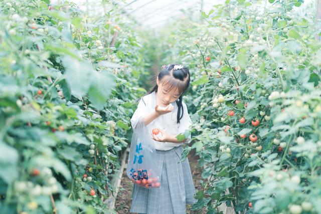 “农家乐”在旅游市场的热度不断衰减,看过往游客怎么说?