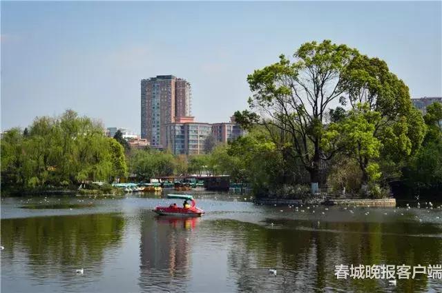 昆明7个历史地段、3个历史文化街,这些“老地方”要重点保护