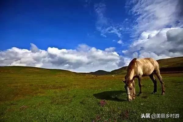 云南旅游攻略,这6个地方一定不能错过