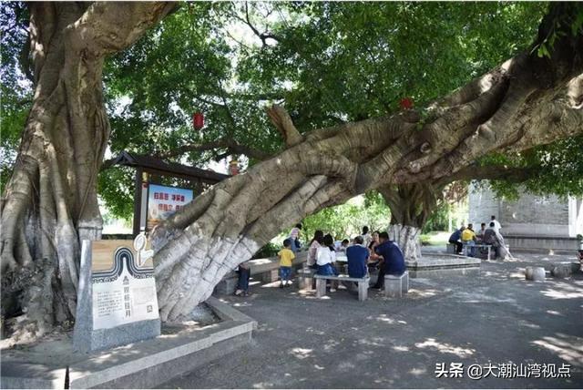 佛山这个村是国家级历史文化名村,被省文化厅评为“广东第一村”